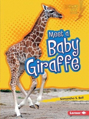 cover image of Meet a Baby Giraffe